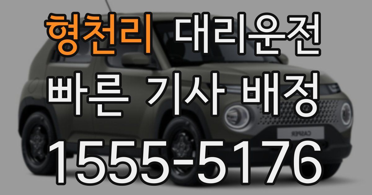 일일대리기사