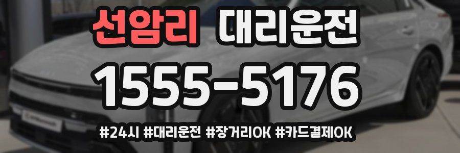 선암리 대리운전