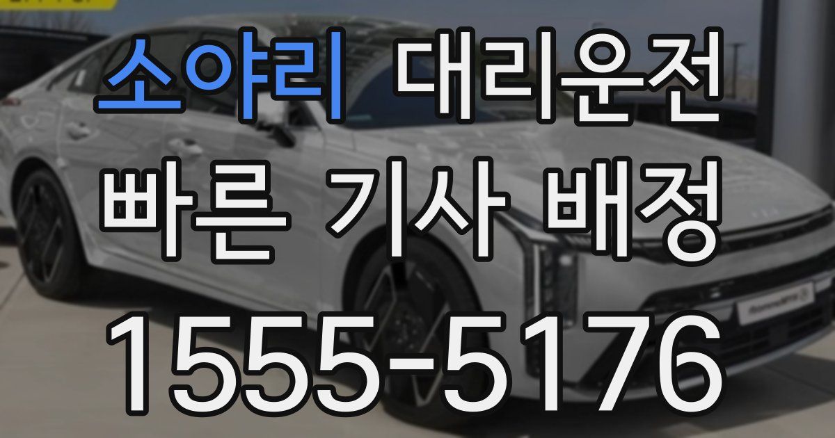 일일대리기사