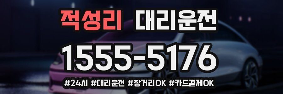 적성리 대리운전