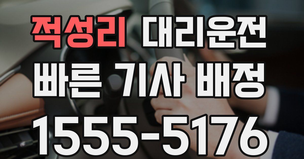 일일대리기사