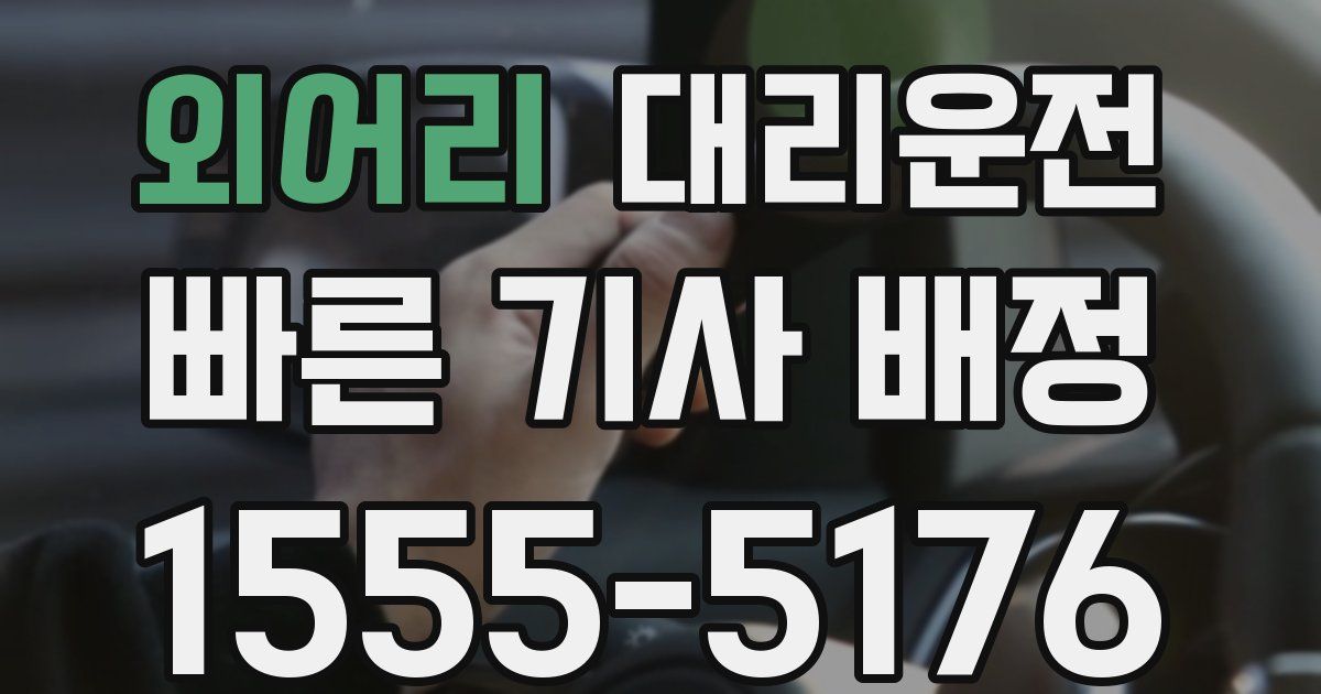 일일대리기사
