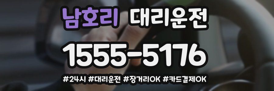 남호리 대리운전