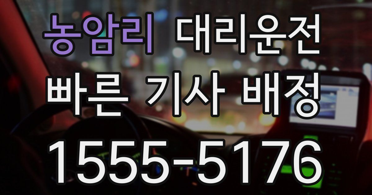 일일대리기사