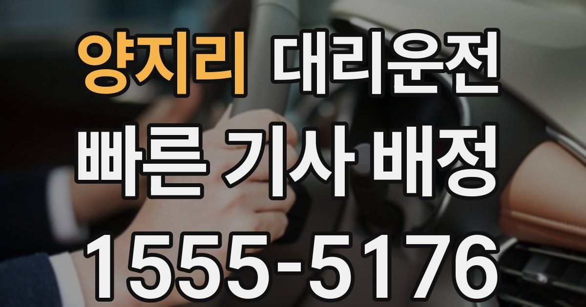 일일대리기사