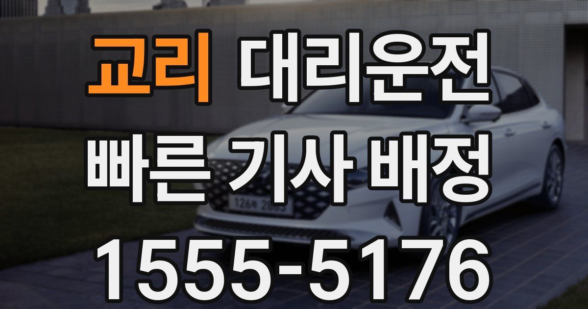 일일대리기사