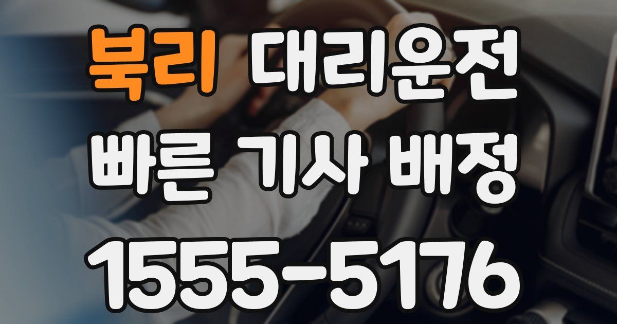 일일대리기사