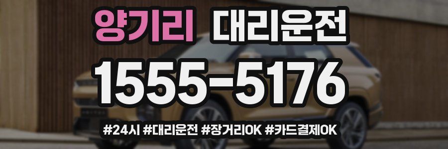 양기리 대리운전