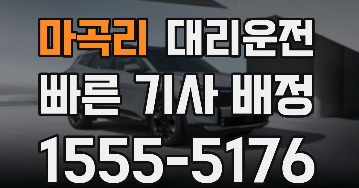 일일대리기사