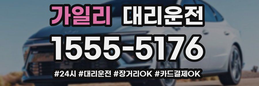 가일리 대리운전