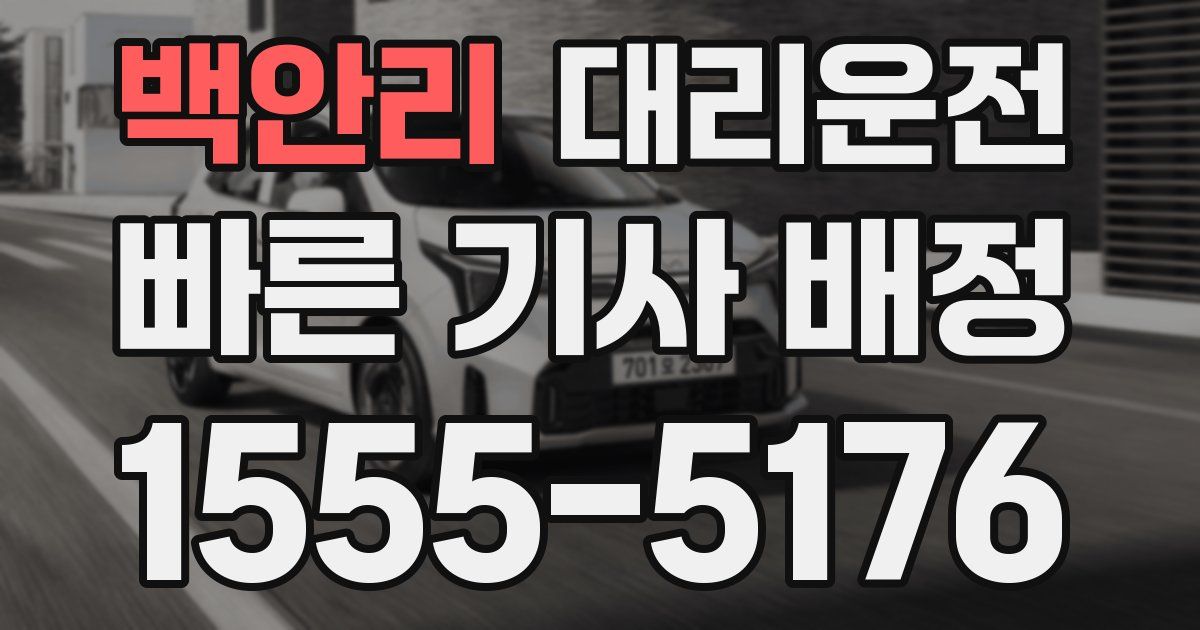 일일대리기사