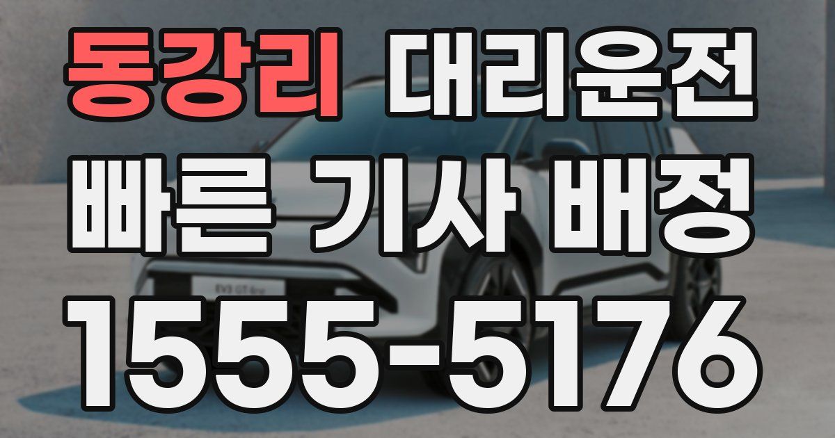 일일대리기사