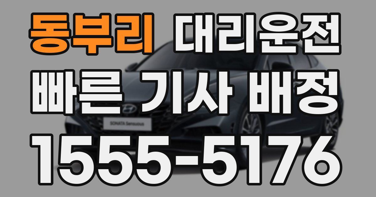 일일대리기사