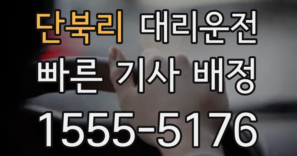 일일대리기사