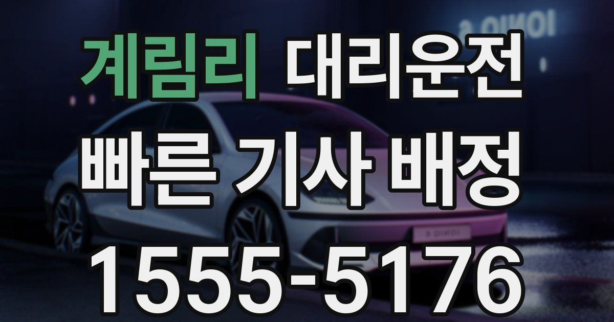 일일대리기사