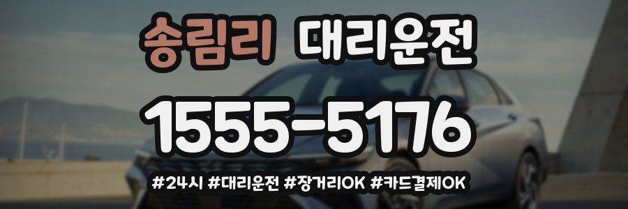 송림리 대리운전