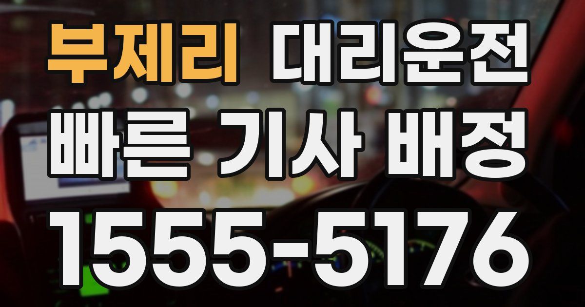 일일대리기사