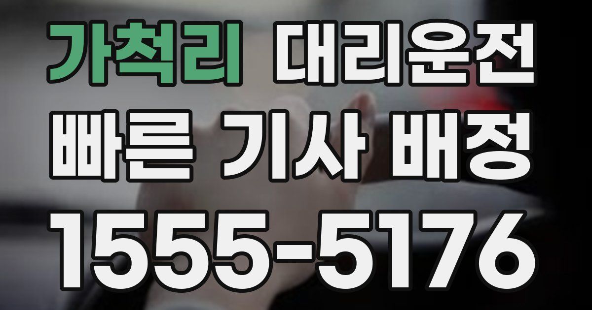일일대리기사