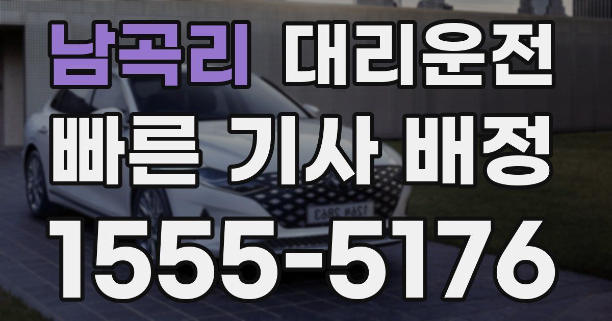 일일대리기사