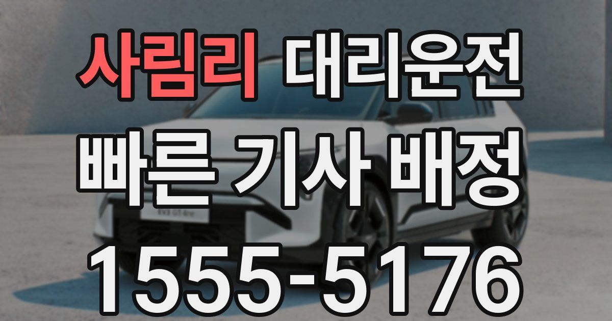일일대리기사
