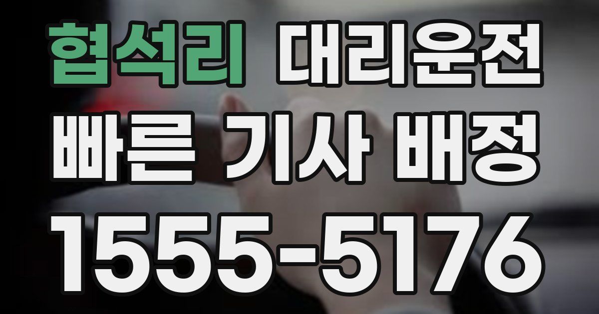 일일대리기사