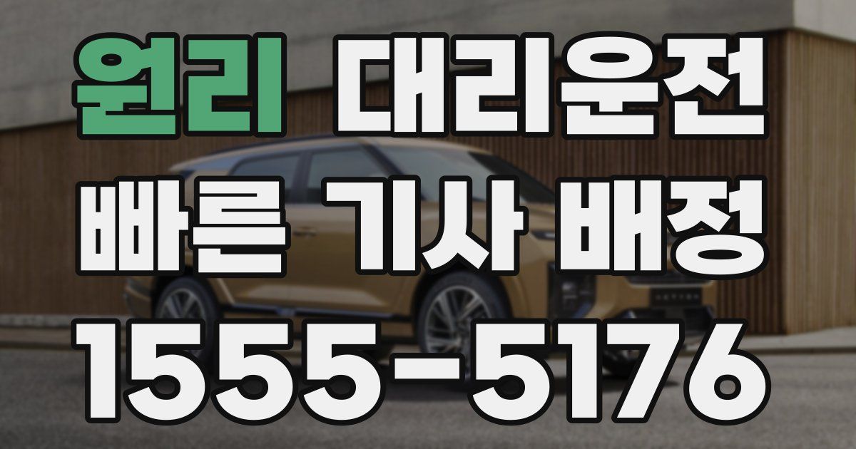 일일대리기사