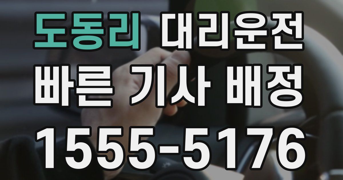 일일대리기사