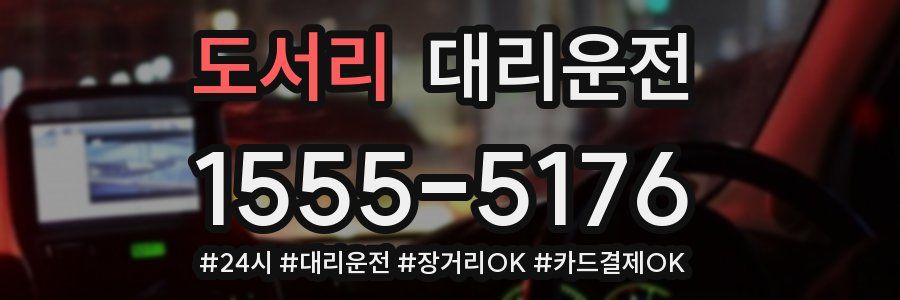 도서리 대리운전