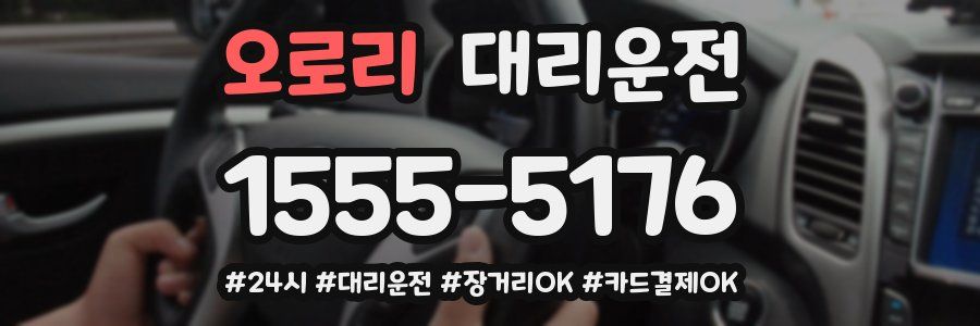 오로리 대리운전