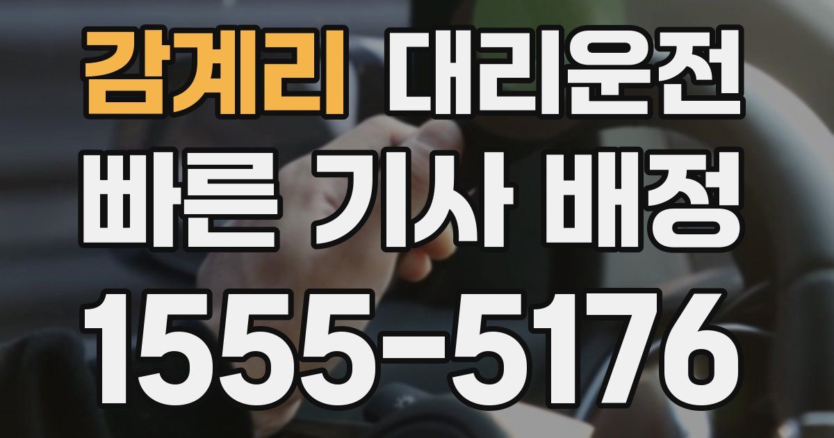 일일대리기사