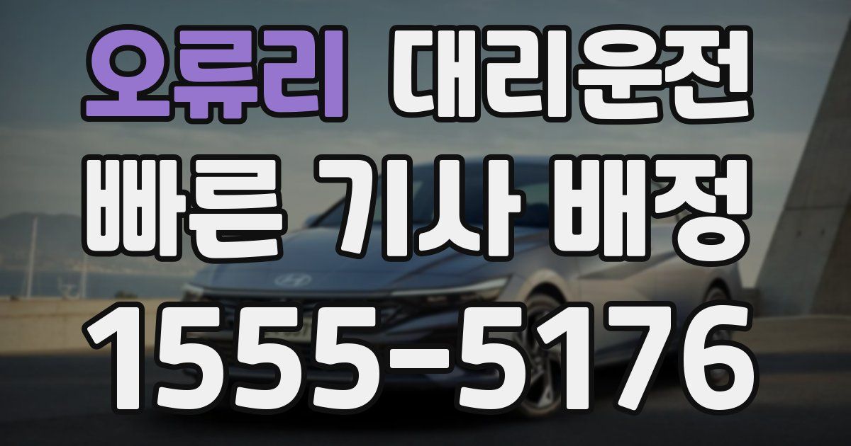 일일대리기사