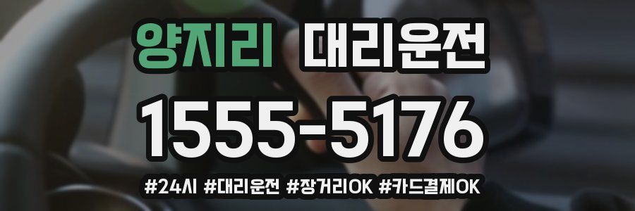 양지리 대리운전