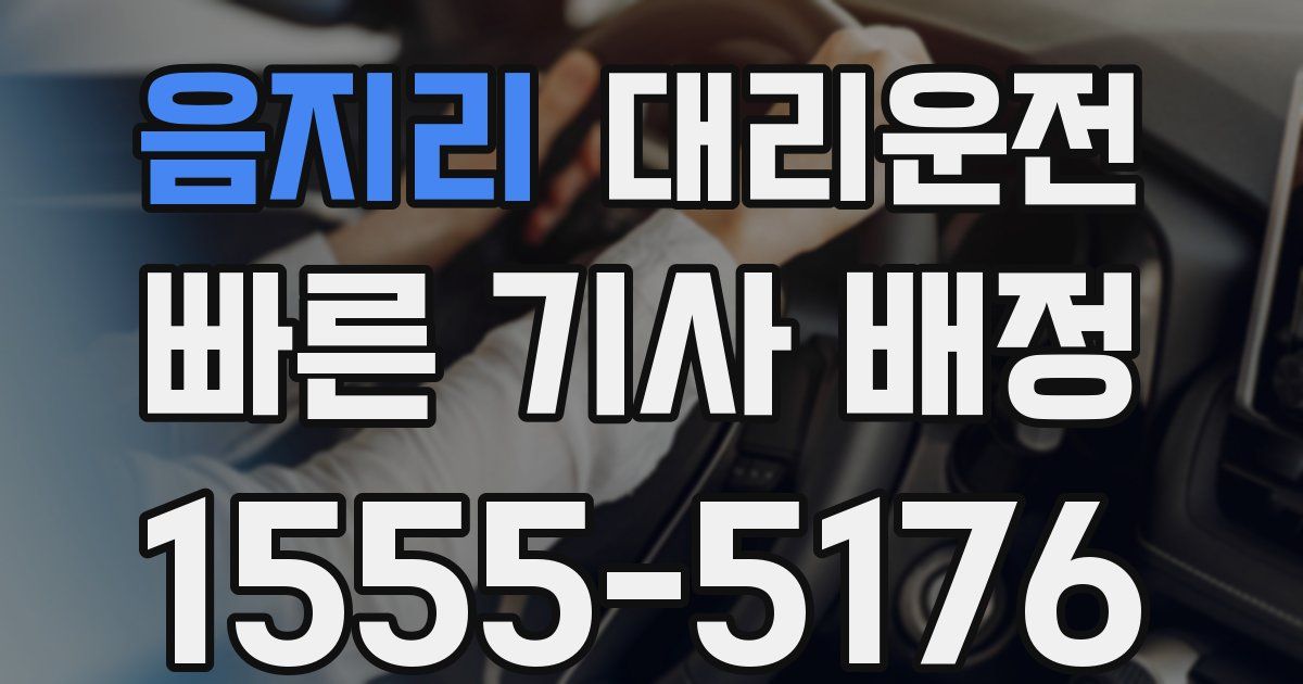 일일대리기사