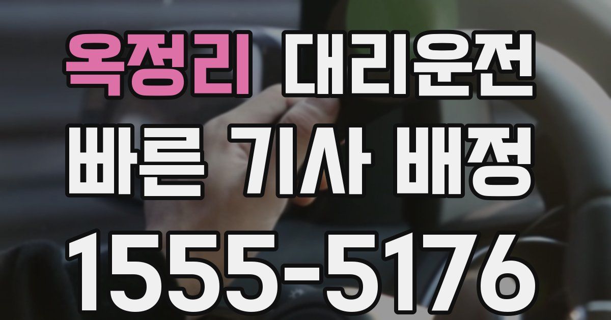 일일대리기사