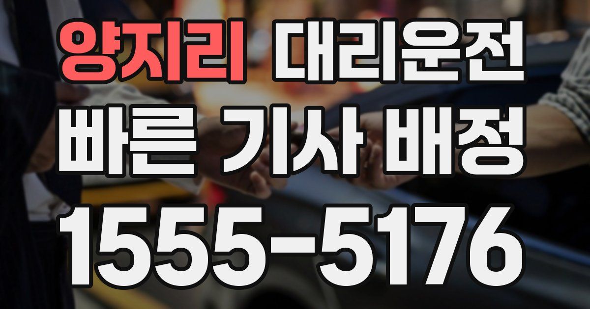 일일대리기사