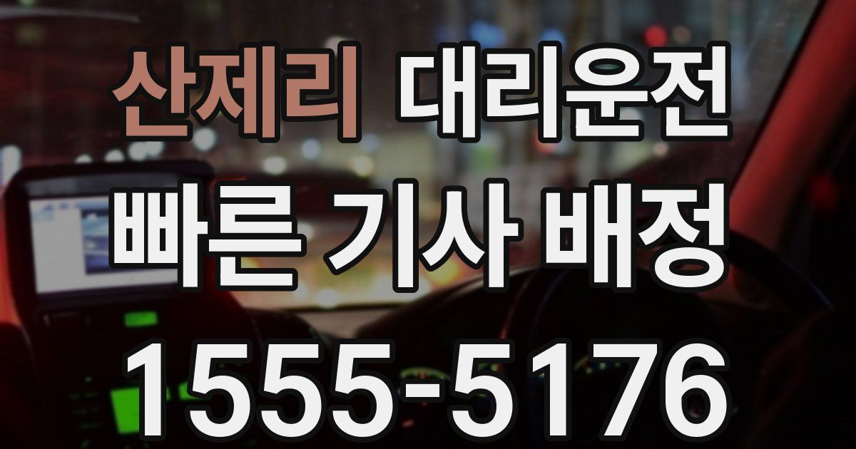 일일대리기사