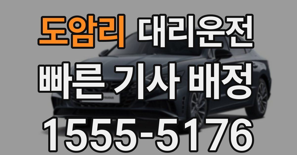 일일대리기사