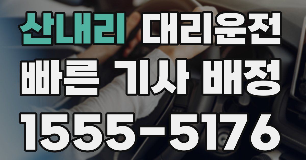 일일대리기사