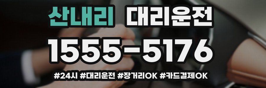 산내리 대리운전