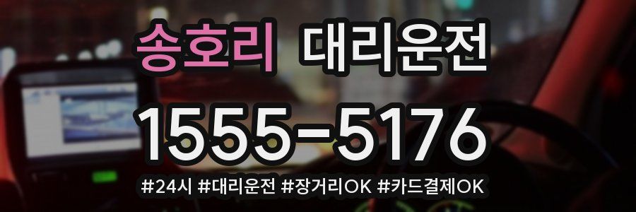 송호리 대리운전
