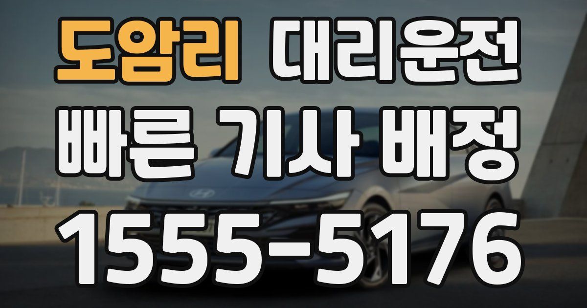 일일대리기사