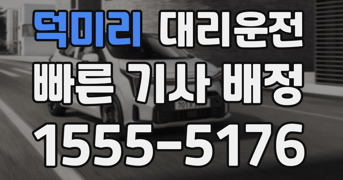 일일대리기사