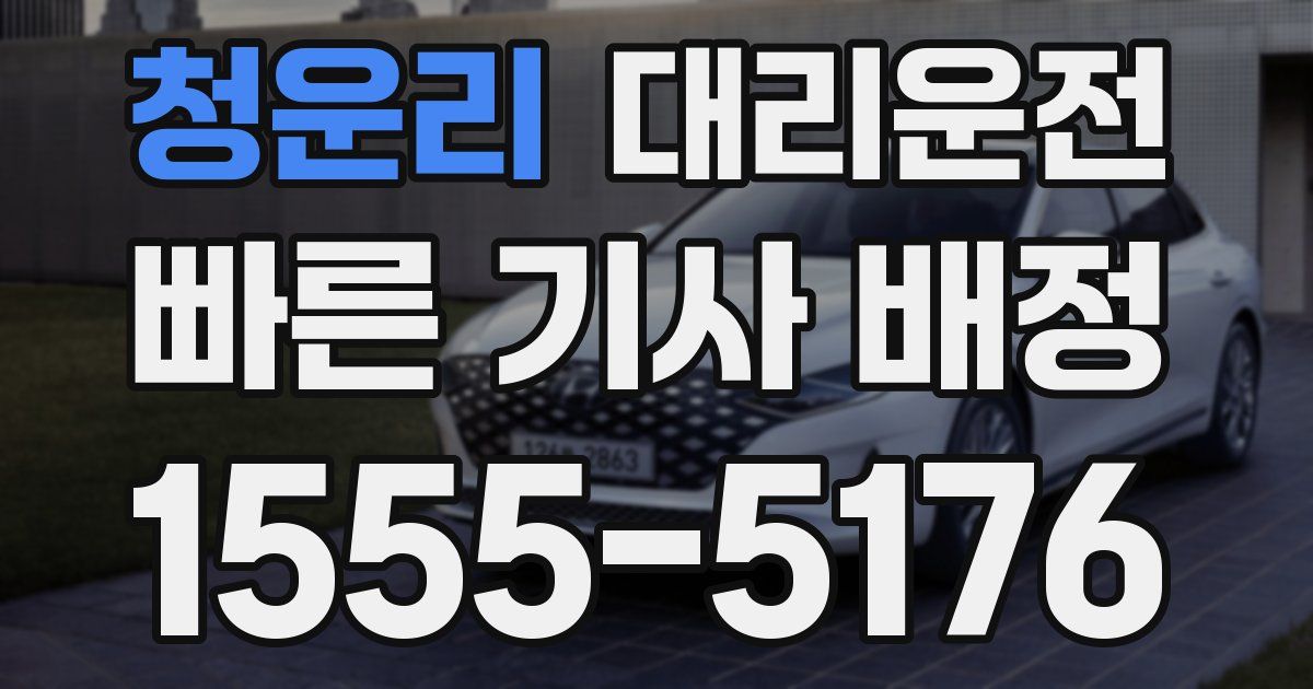 일일대리기사