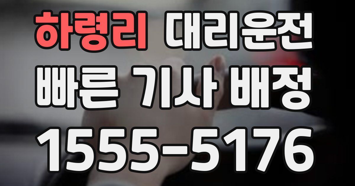 일일대리기사