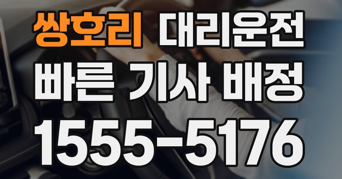 일일대리기사
