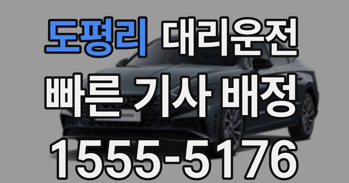 일일대리기사