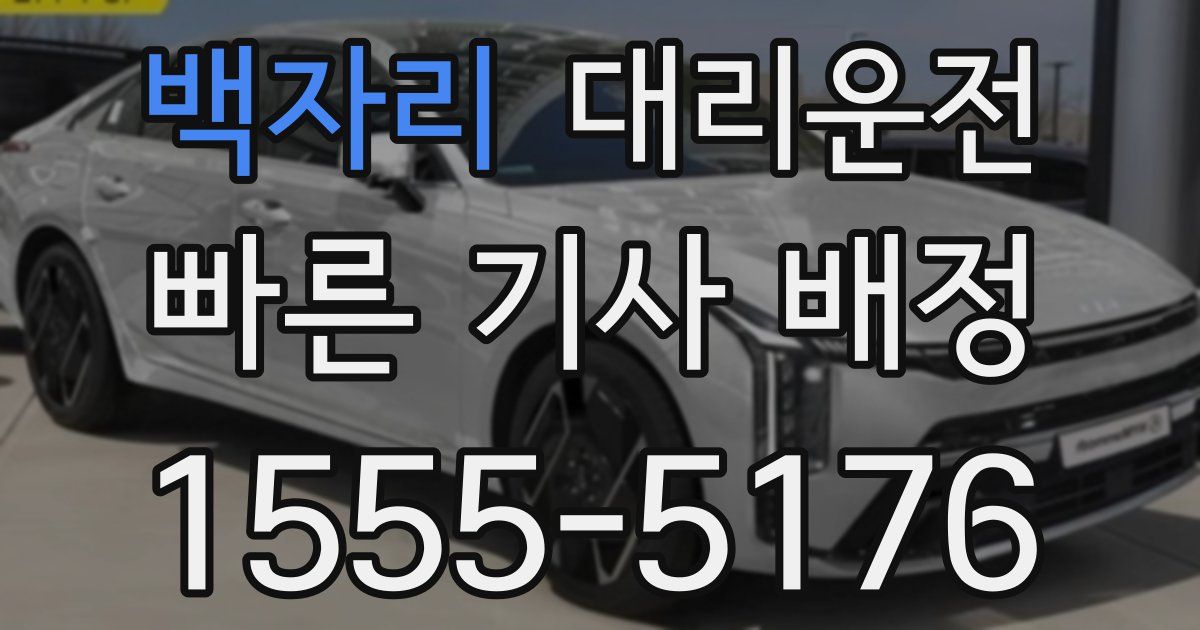 일일대리기사