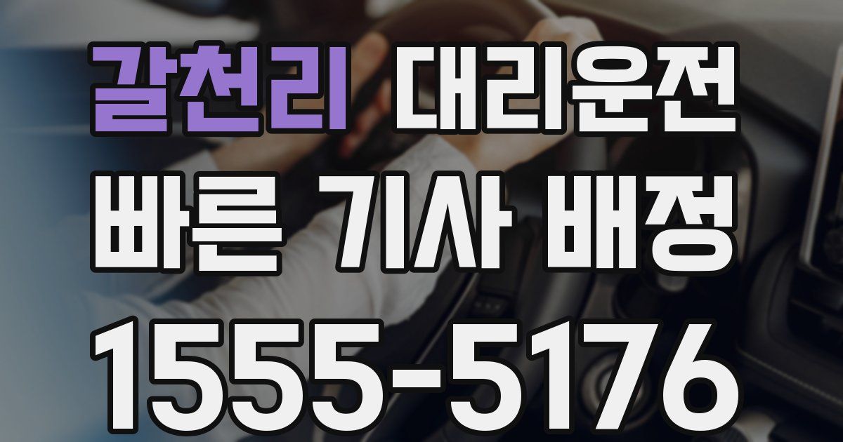 일일대리기사