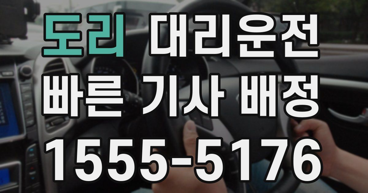일일대리기사