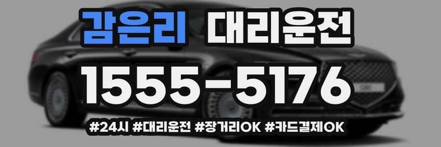 감은리 대리운전
